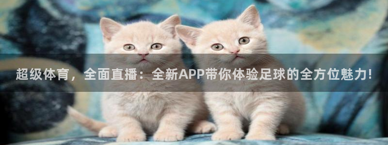 超级体育，全面直播：全新APP带你体验足球的全方位魅力!